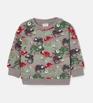 Boys Chameleon Printed Sweatshirt