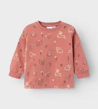 Embroidered Long Sleeves Sweatshirt