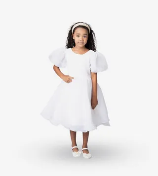 Balloon Sleeves Fit and Flare Dress