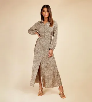 Leopard Print Shirt Dress