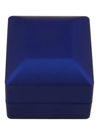 LED Lighted Ear Ring Gift Box 