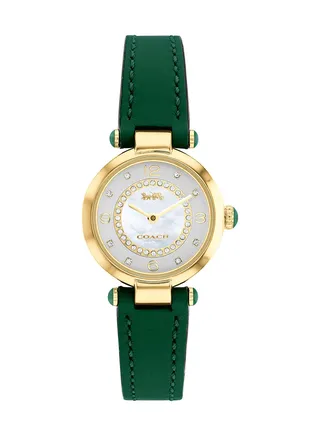Women's Cary  Silver Mother Of Pearl Dial Watch - 14503894 