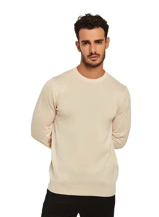 Fancy Basic Crew Neck Pullover 