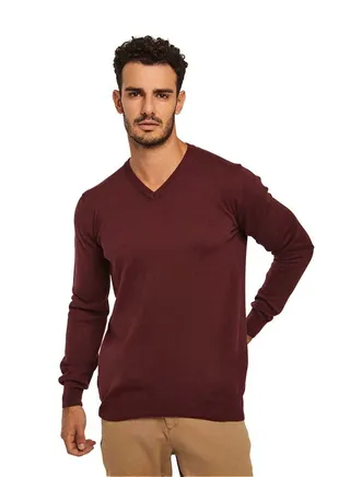 Fancy V Neck Basic Pullover 