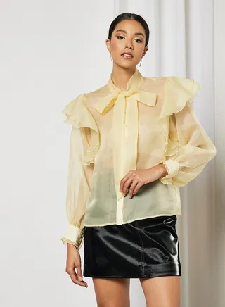 Sheer Balloon Sleeve Blouse