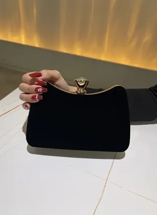 Luxury formal bag 