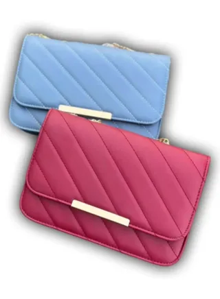 Handbag in Two Different Colors 2 pieces 