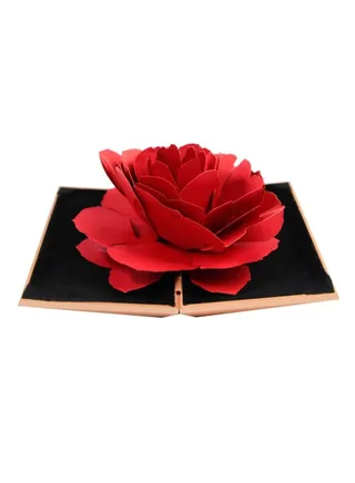 3D Pop Up Rose Jewelry Storage Holder 