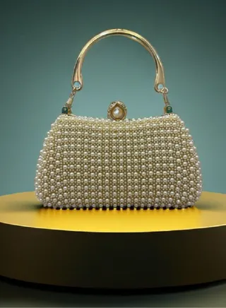 Minimalist And Fashionable Dinner Bag 