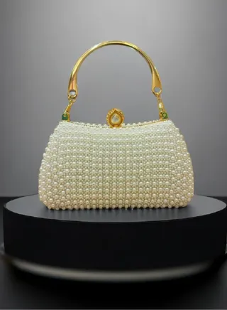Minimalist And Fashionable Dinner Bag 