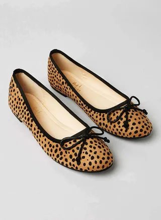 Comfortable Stylish Ballerina Brown 
