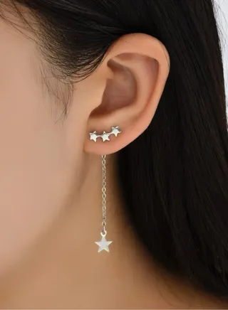 Trendy Women's Silver Plated Earrings 