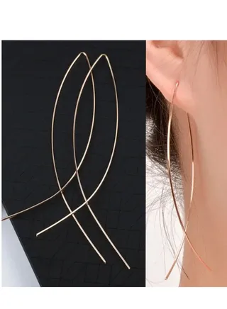 Gorgeous Modern Shaped Helix Earrings 