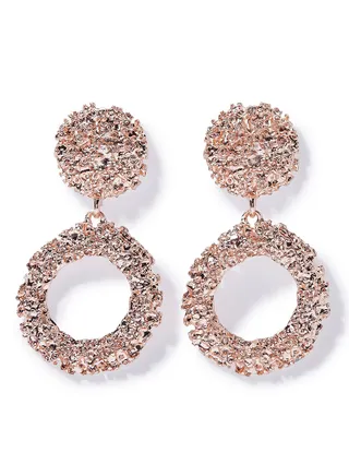 Exquisite Dangle Earrings 