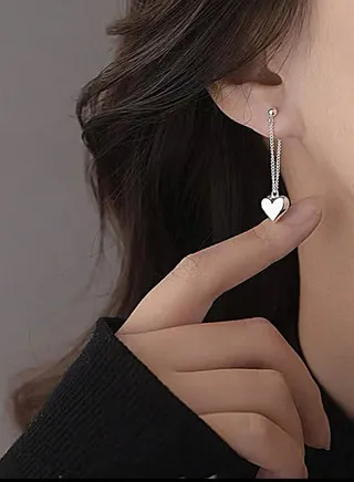 Stylish Silver Stainless Steel Earrings 