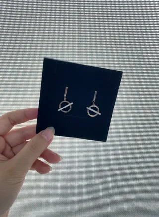 Stainless Steel 18K Gold Plated Colorfast Round Drop Earrings 