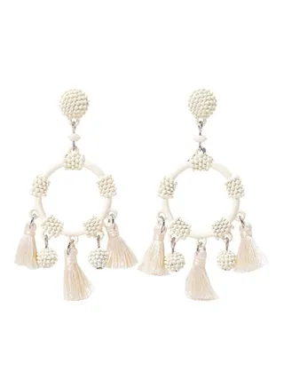 Charms And Tassel Earrings 