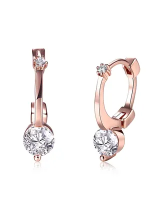 Fashion Ladies Earrings Ake159 