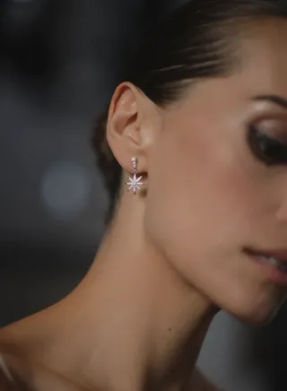 Pole Star Earrings Silver - Silver 