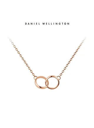 DANIEL WELLINGTON ELAN solidarity rose gold necklace 