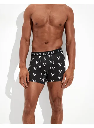 AEO Eagle 4.5" Classic Boxer Brief 