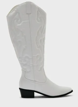 Pointed Toe Boots