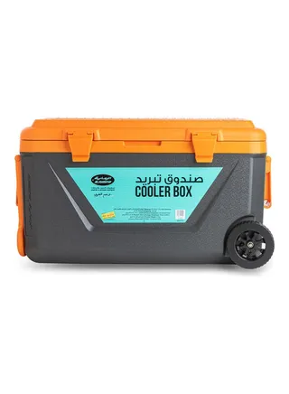 Cooler Box 45L 67.5x41x37.5cm 
