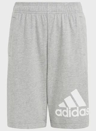 Big Logo Shorts 