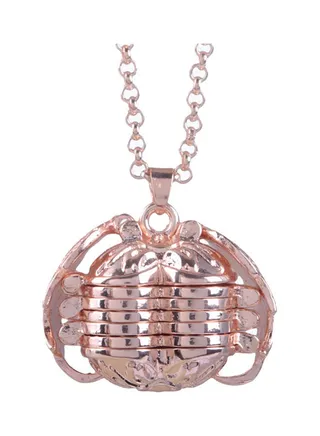 Unique Expanding Locket Necklace 