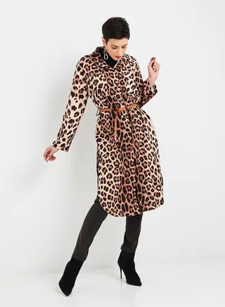 Maya Leopard Print Dress Brown 