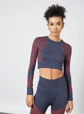 Seamless Long Sleeve Training Top Blue 