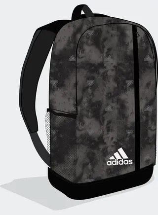 Linear Graphic Backpack 