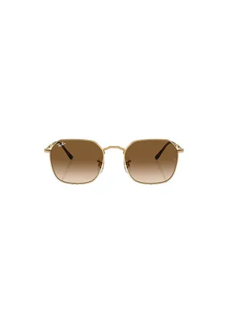 Men's Full Rim Oval Sunglasses 0RB3694 53 001/51 