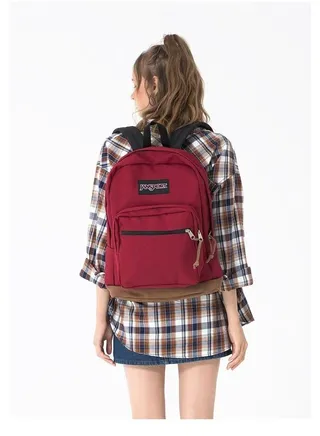 Cross Town Solid Backpack Viking 