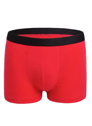 Men Breathable Underwear Brief 