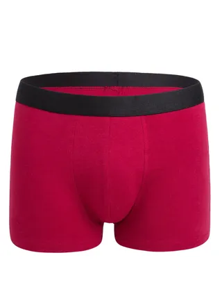 Men Breathable Underwear Brief 