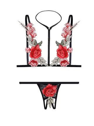 Rose Embroidery Hollow Out Secret Bra Thong Set Multicolour 