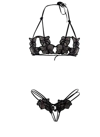 Embroidered Orchid Shape Bra And Panty Underwear Set 