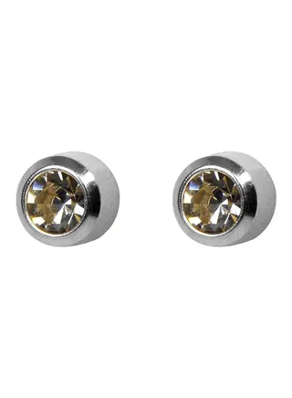 Stainless Steel Crystal Swarovski Earrings 