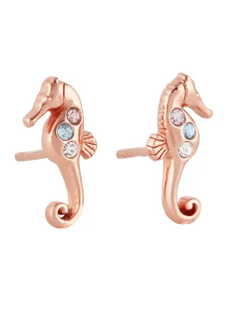 Under The Sea Women's Stud Earrings - OBJSCE38 