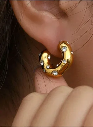 Elegant Trendy Earrings For Women 