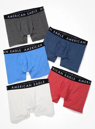 AEO 4.5" Classic Boxer Brief 5-Pack 