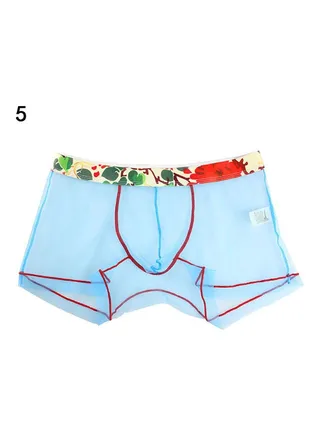 Men's See-through Underwear Sky Blue 