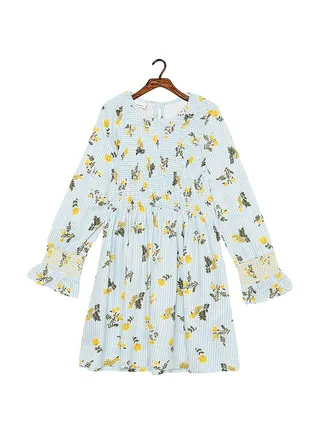 Classic Style Printed Smocked Dress Blue 