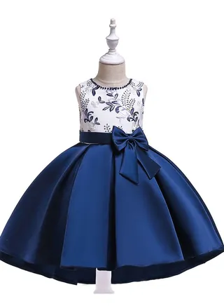 Girls Princess Dress Blue 