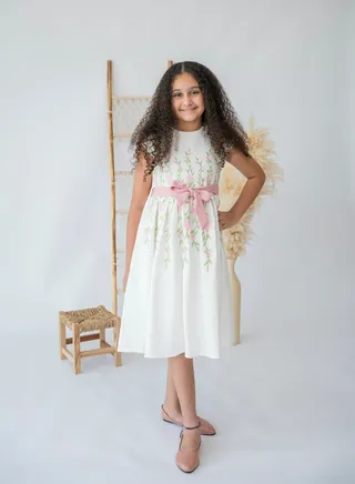 Garden Gala Embroidered Dress 