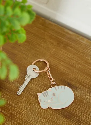 Grey Cat Enamel Keyring