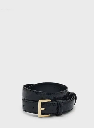 Lamina Belts