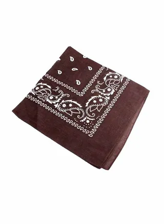 Hip-Hop Style Fashion Bandana Brown 