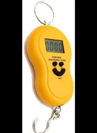 Portable LCD Display Luggage Fishing Hook Electronic Weight Digital Scale Pocket Weighing Hanging Scale 